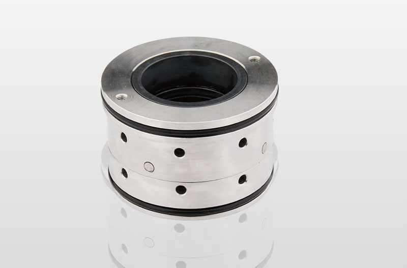 TS WE (заменять AESSEAL S0E/S0EC;для EMU)